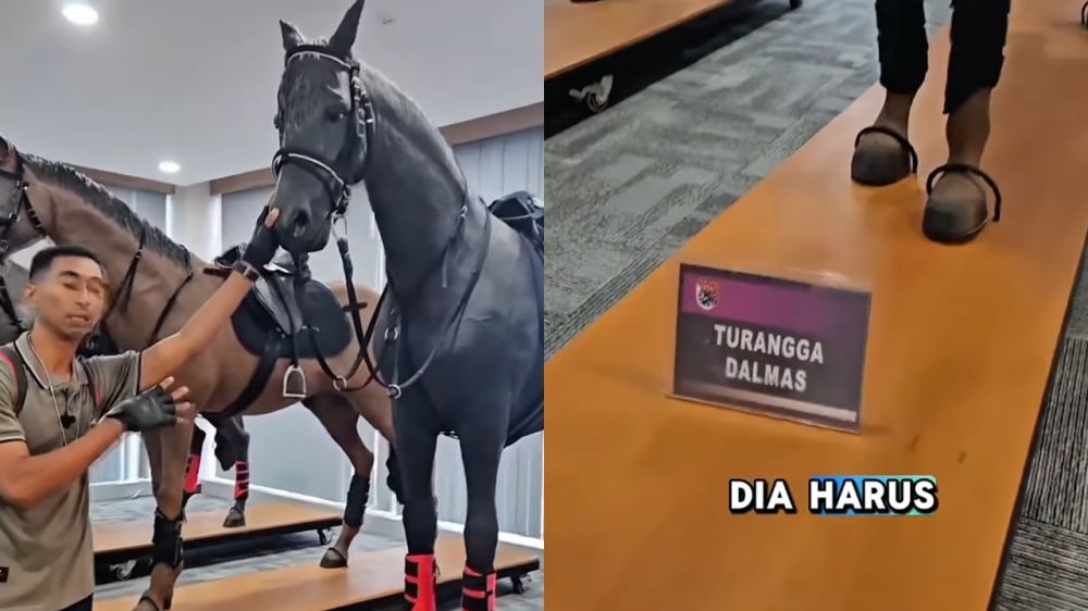 Intip 10 penampakan fasilitas simulator berkuda satu-satunya di Indonesia milik Ditpolsatwa Polri
