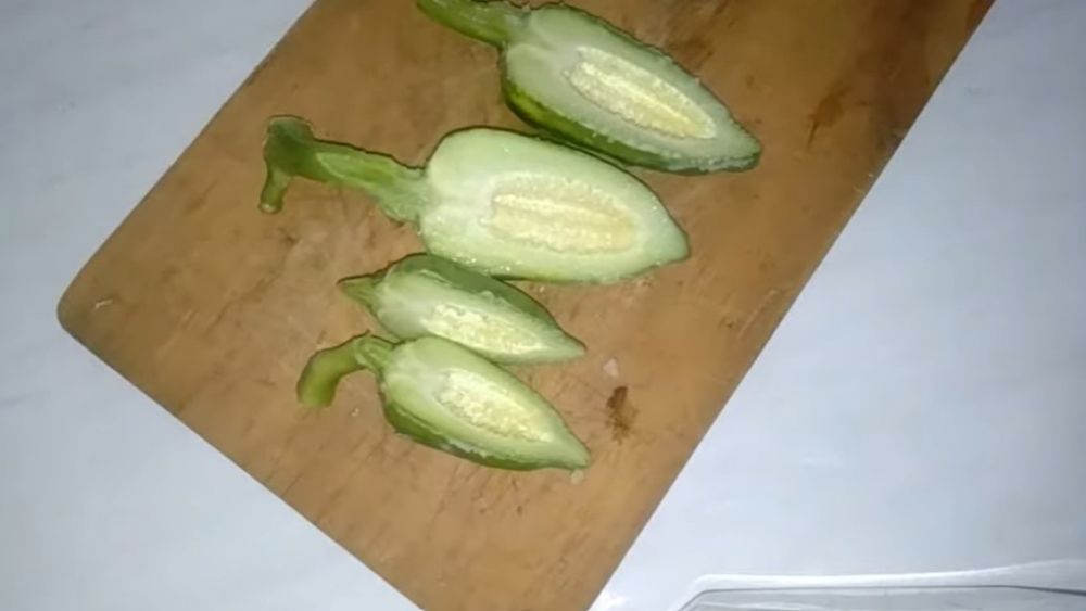 Ayam kampung alot jadi empuk tanpa presto, ini trik rahasia persiapan opor Lebaran