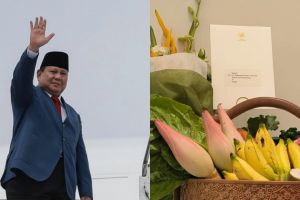 5 Potret isian parcel Lebaran 2026 Presiden Prabowo, penuh bahan pangan menyegarkan