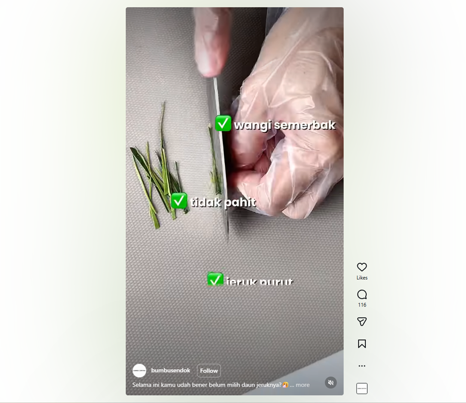 Jangan salah pilih! Ini cara bedakan daun jeruk purut vs daun jeruk biasa biar masakan lebih wangi