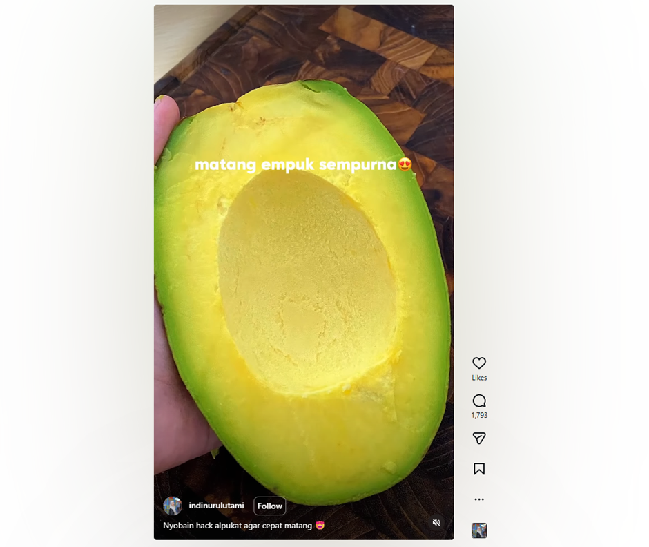 Cuma pakai garam, ini trik simpel bikin alpukat cepat matang dalam 1 hari