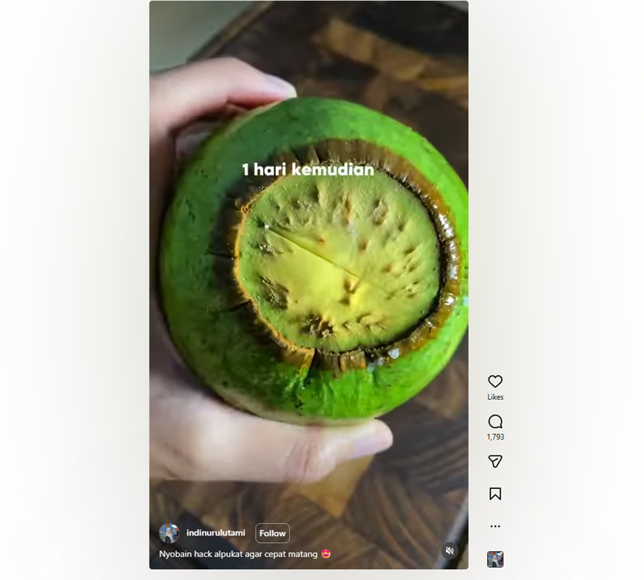 Cuma pakai garam, ini trik simpel bikin alpukat cepat matang dalam 1 hari