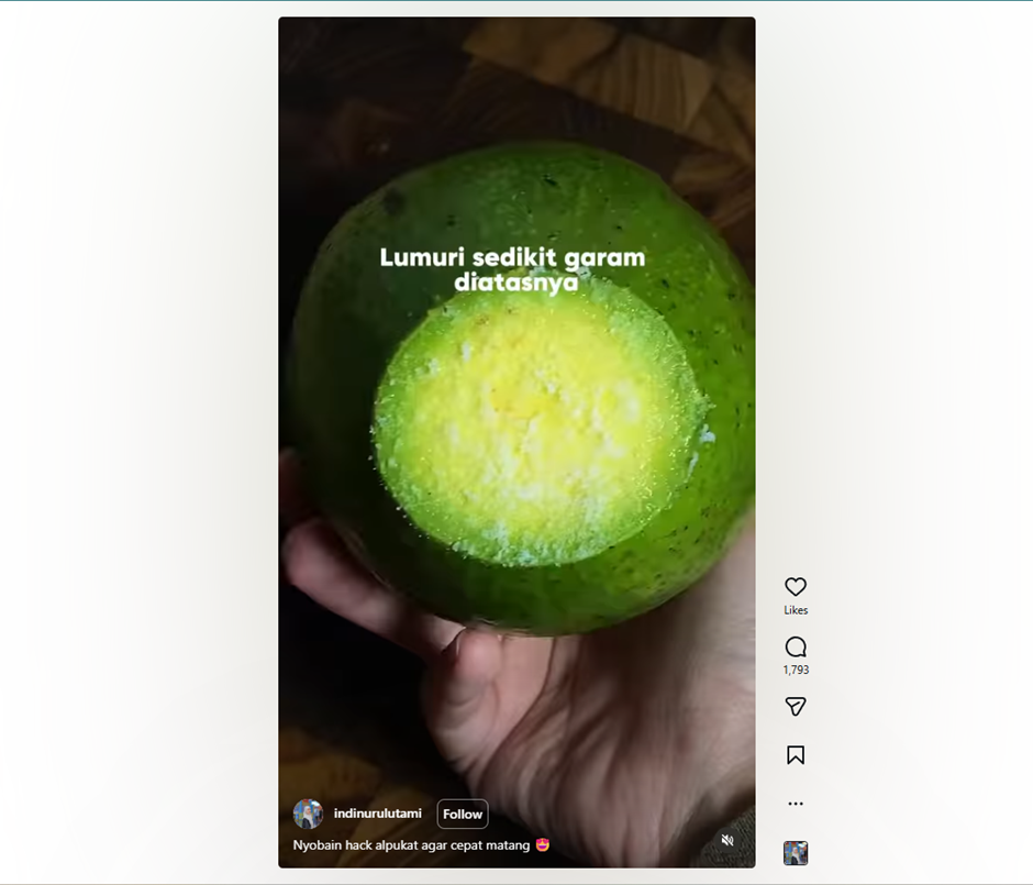 Cuma pakai garam, ini trik simpel bikin alpukat cepat matang dalam 1 hari