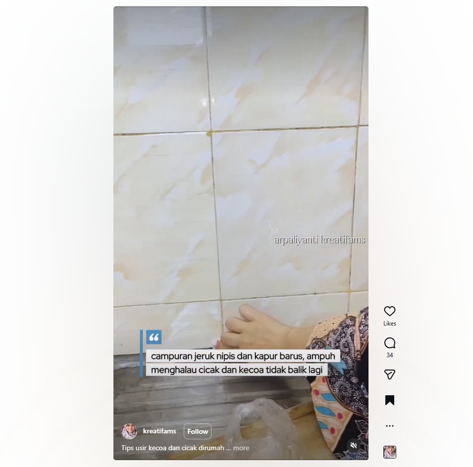 Jangan disemprot kimia! Trik alami campuran jeruk nipis ini ampuh bikin kecoa kabur