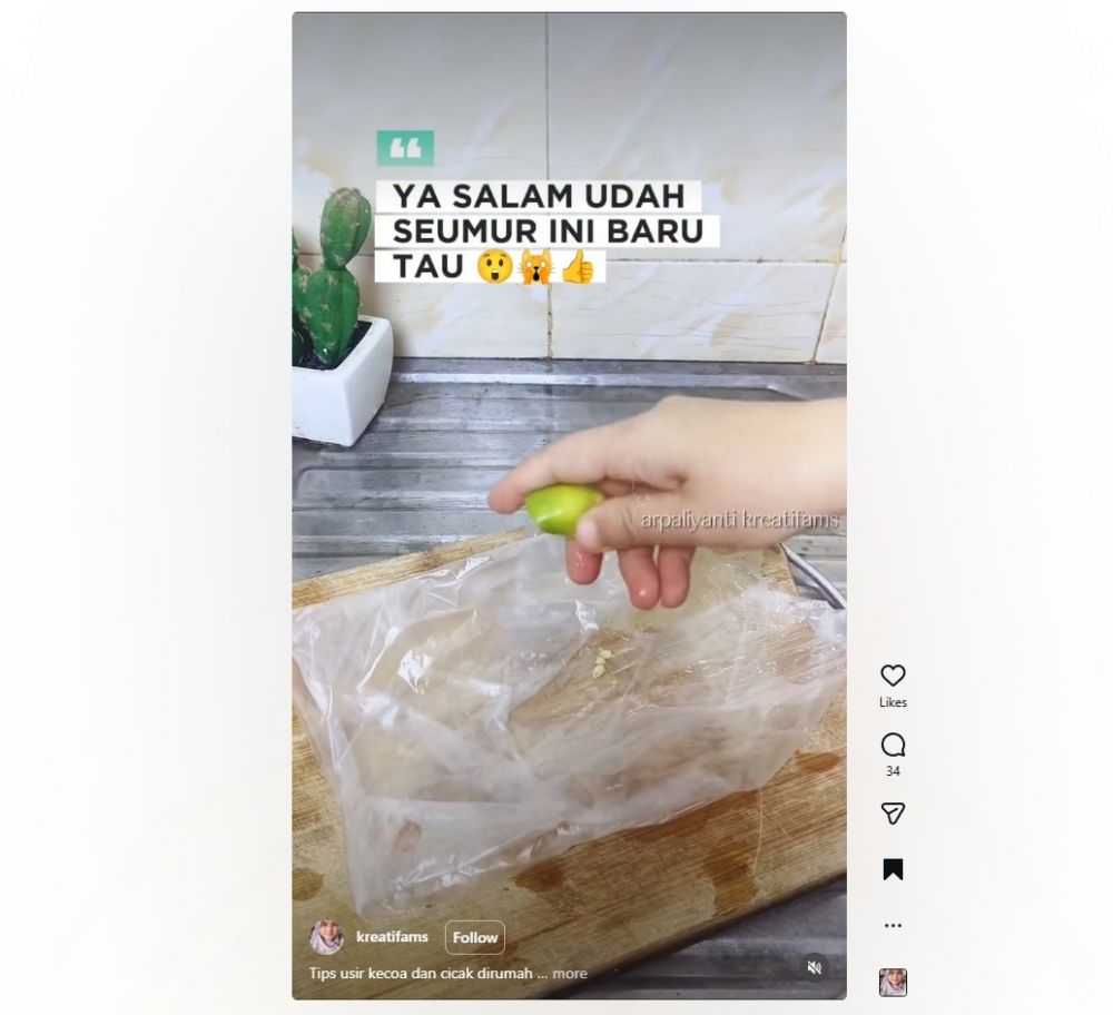 Jangan disemprot kimia! Trik alami campuran jeruk nipis ini ampuh bikin kecoa kabur