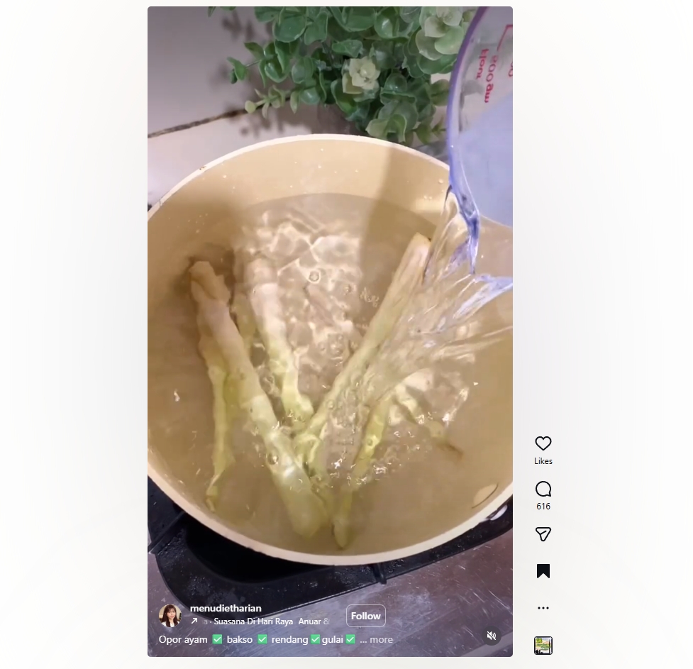 Minuman detox alami dari 1 racikan dapur, segar banget dan bantu netralisir lemak