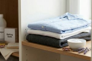 Tanpa produk mahal, bau kecoa di baju hilang hanya dengan bahan dapur