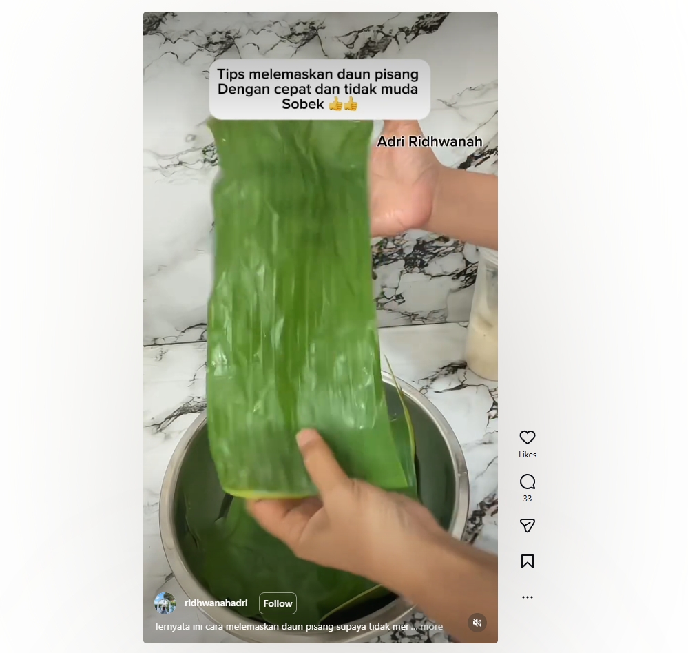 Cara bikin daun pisang lentur tanpa sobek, cuma pakai air cuka langsung siap bungkus