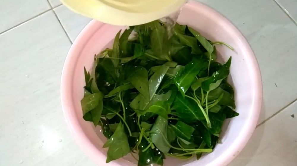 Cara membersihkan kangkung dari ulat dan parasit tanpa harus dibelah satu per satu