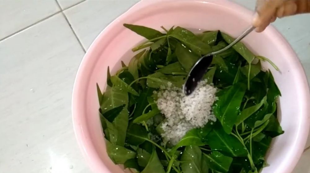 Cara membersihkan kangkung dari ulat dan parasit tanpa harus dibelah satu per satu