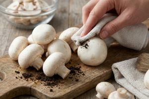 Jangan dikupas dan jangan dicuci lama, ini cara tepat bersihkan jamur kancing agar tetap enak