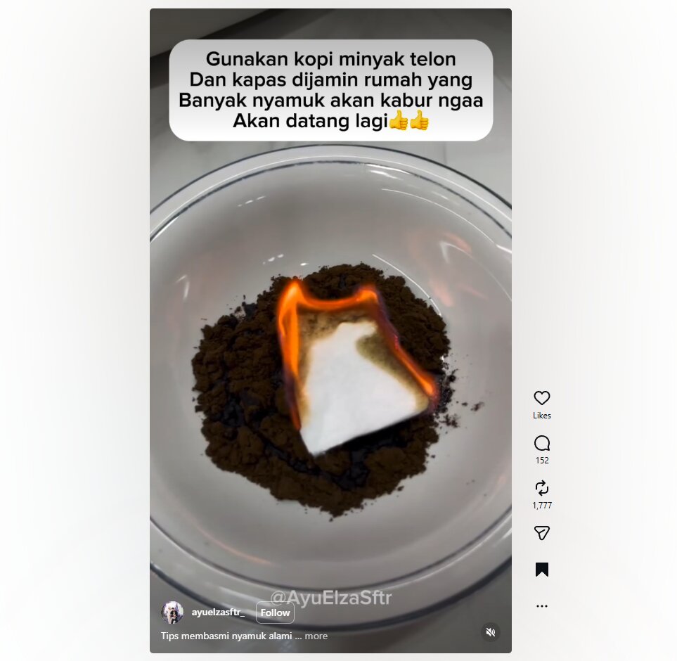 Nggak perlu obat kimia keras, ternyata tabur kopi bisa bikin nyamuk auto kabur dari rumah