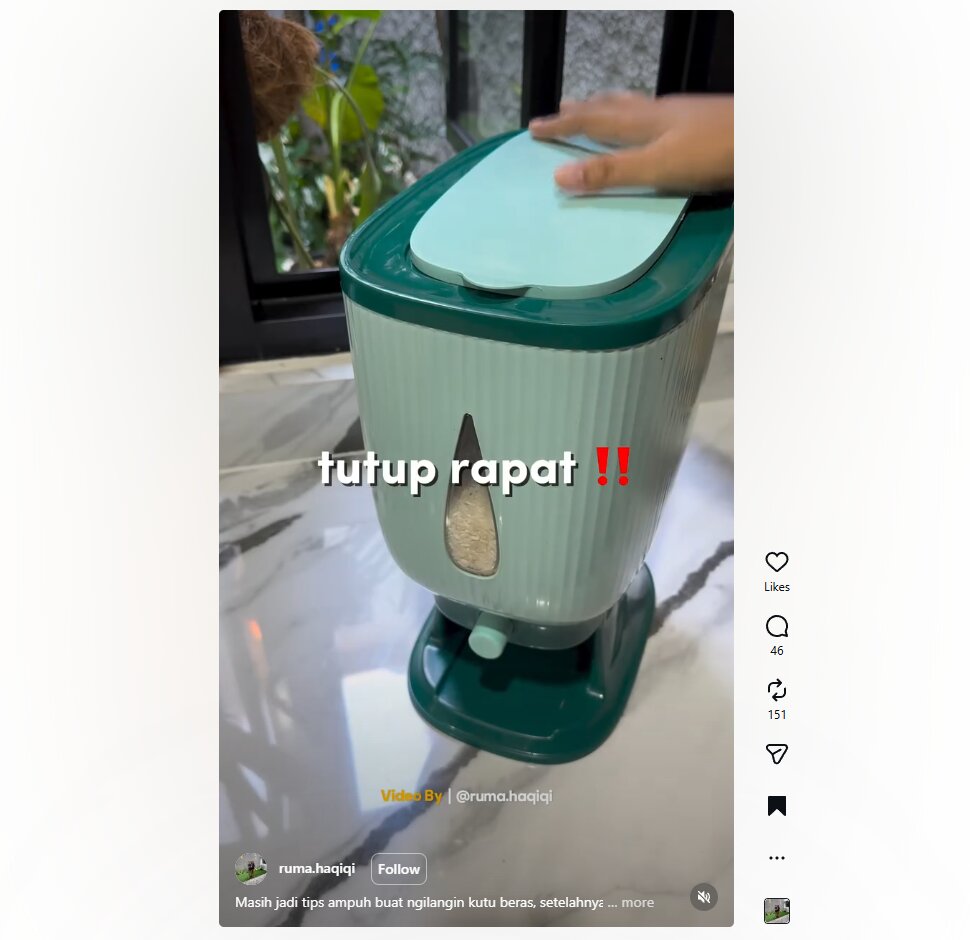 Pakai cuka dan tisu, begini cara hilangkan kutu beras dengan instan tanpa ribet