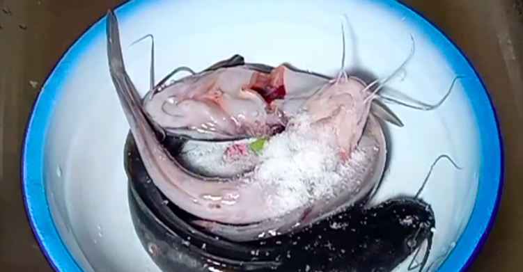 Cara simpan lele tanpa kulkas agar awet 2 hari, cukup pakai bumbu dapur yang ada di rumah