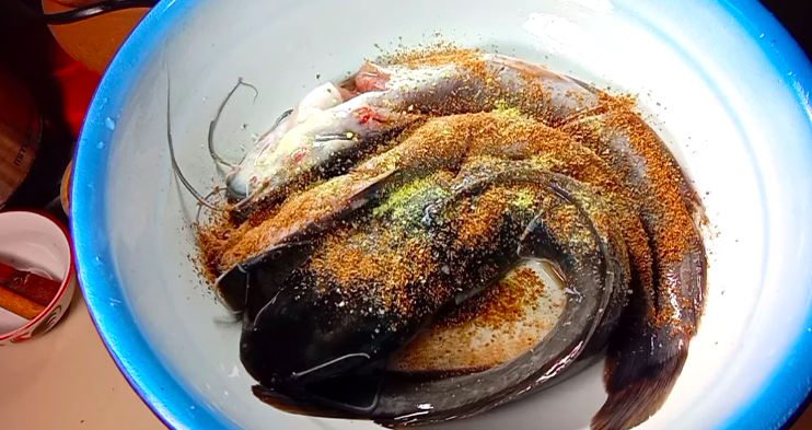 Cara simpan lele tanpa kulkas agar awet 2 hari, cukup pakai bumbu dapur yang ada di rumah