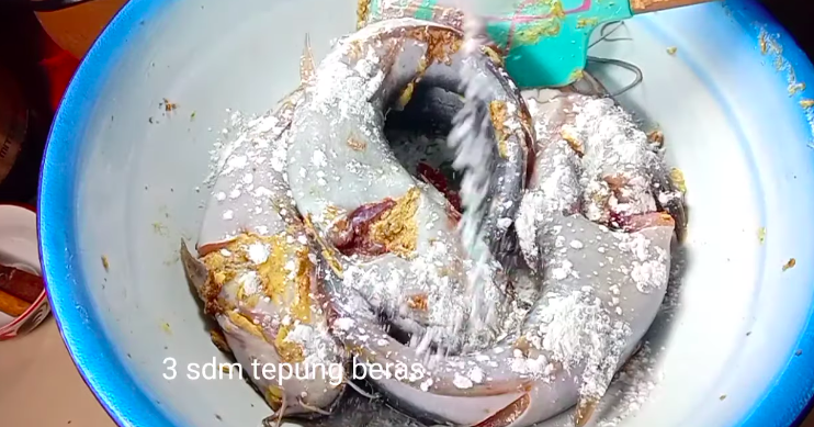Cara simpan lele tanpa kulkas agar awet 2 hari, cukup pakai bumbu dapur yang ada di rumah
