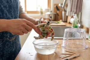 Jangan cuma dibilas, ini rahasia bersihkan pisau chopper agar tak jadi sarang bakteri dan ulat