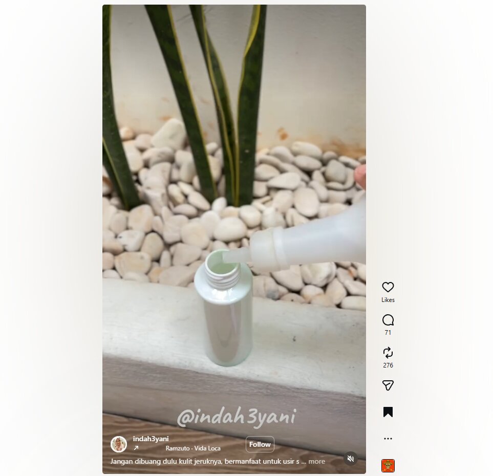 Jangan dibuang! Begini trik olah kulit jeruk jadi pengusir serangga alami di dapur