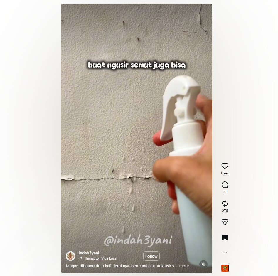 Jangan dibuang! Begini trik olah kulit jeruk jadi pengusir serangga alami di dapur