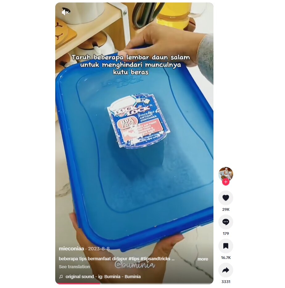 Cara mengusir kutu beras dengan daun salam, trik dapur sederhana yang mudah dicoba