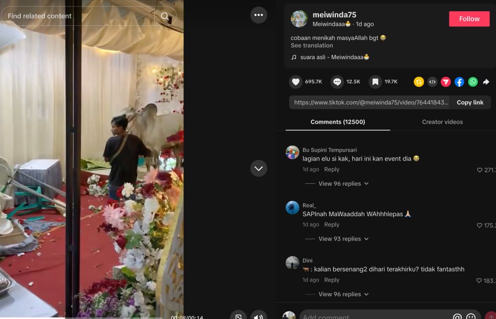 Momen nyesek calon pengantin saksikan tenda pernikahan diseruduk sapi kurban sampai berserakan