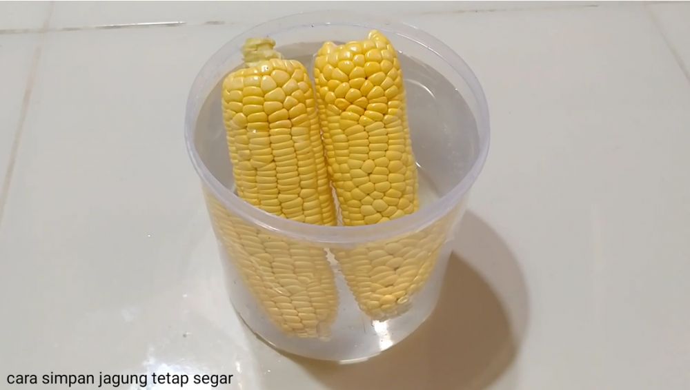 Tak perlu pakai kulkas, begini langkah simpan jagung utuh biar tidak sigap kering