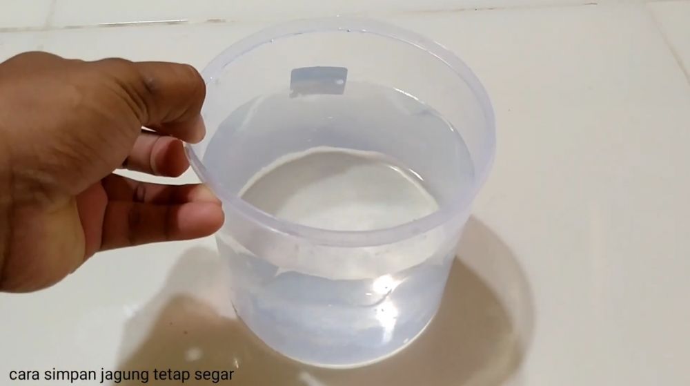 Tak perlu pakai kulkas, begini langkah simpan jagung utuh biar tidak sigap kering