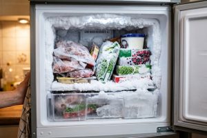 Pantas tagihan listrik loncat! Ternyata cara kita pakai freezer ini jadi pemicu bunga es