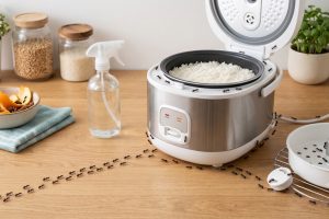 Cara mengatasi rice cooker yang banyak semut agar tidak korsleting dan rusak