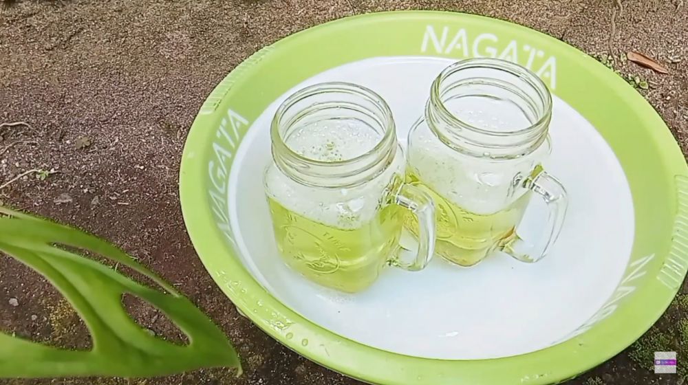 Kerak teh membandel di gelas kaca hilang tanpa pemutih, cukup tambahkan sitrun