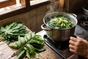 Kamu suka daun pepaya tapi benci pahitnya? ini solusinya tanpa tanah liat