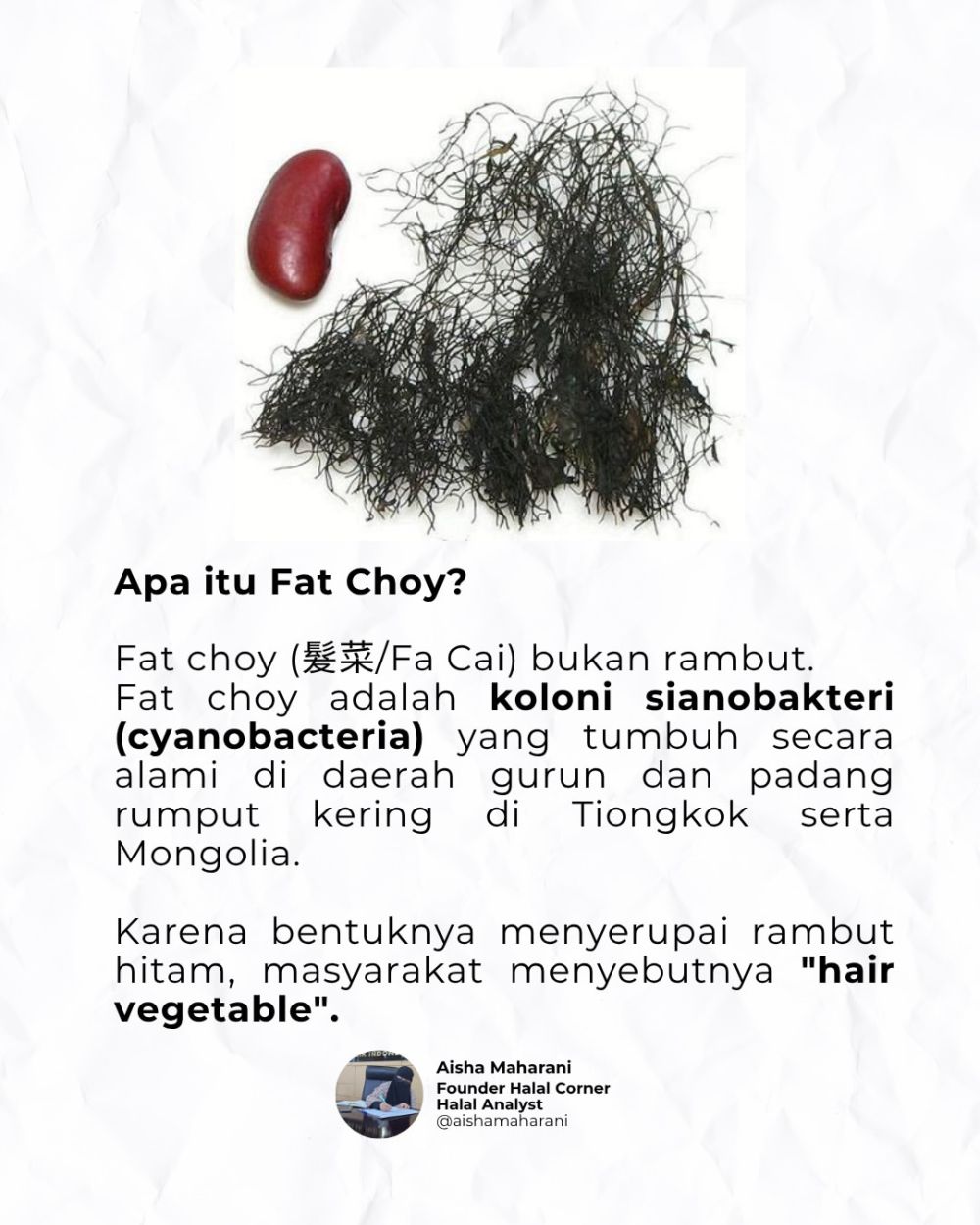 Bukan rambut atau rumput laut, ini 5 fakta fat choy yang jadi sorotan usai hair croissant viral