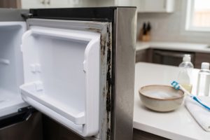 Karet pintu kulkas menghitam dan berjamur, apakah masih aman digunakan?