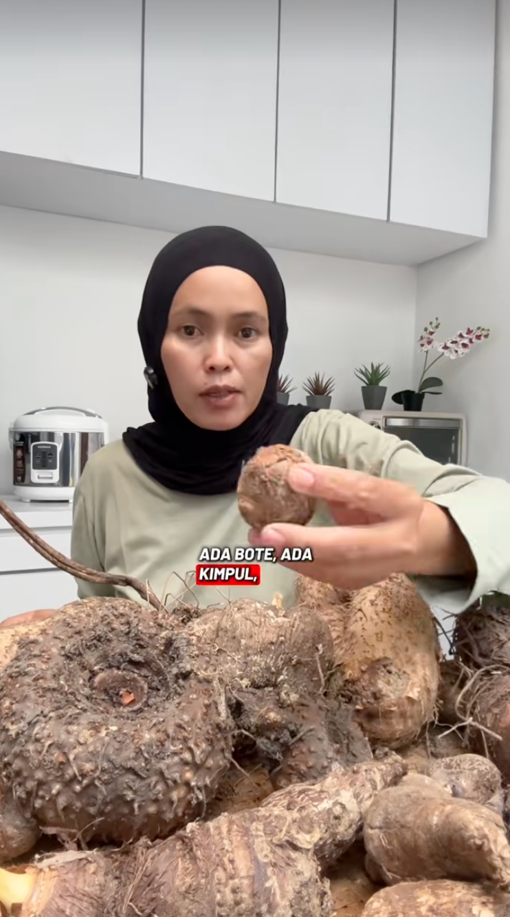 Apa itu kimpul? Umbi lokal yang kini ramai dibahas karena bisa jadi pengganti kentang