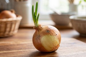 Bawang bombai tumbuh tunas hijau, ini tanda masih layak dipakai atau harus dibuang
