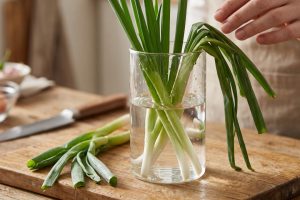 Cara menyegarkan daun bawang layu sebelum dimasak, mudah dilakukan di rumah