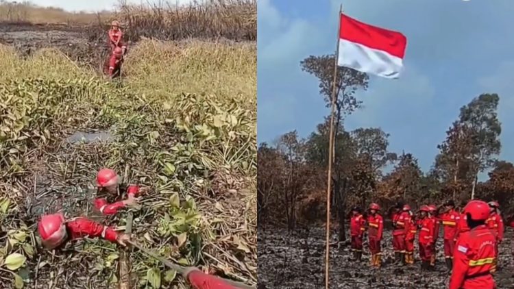10 Potret perjuangan petugas padamkan karhutla Kalimantan & Sumatera, hadapi asap hingga terbatas air