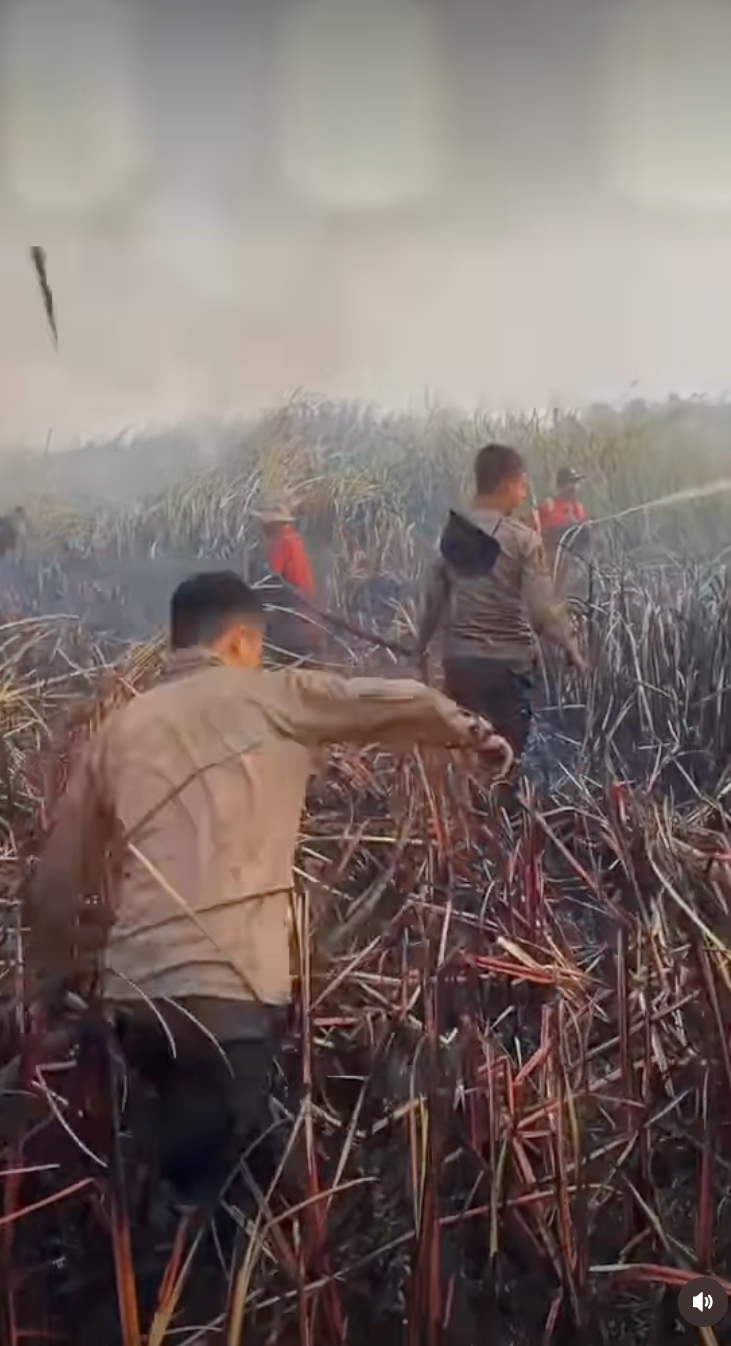 Aksi anggota Sabhara padamkan karhutla Sumatera Selatan, rela terobos parit ambil air