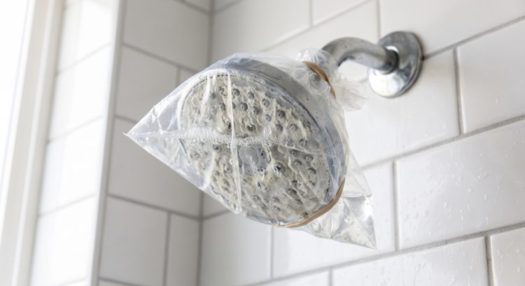Shower penuh kerak putih? Coba trik ini pakai 1 bahan dapur sebelum menggosoknya