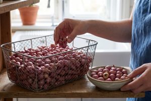Bawang merah cepat lembek dan busuk meski disimpan di tempat kering, cek 5 kesalahan ini