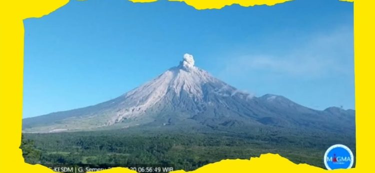 8 Pendaki masuk Gunung Semeru via jalur ilegal, 1 orang tersesat sempat kirim WA minta dicari