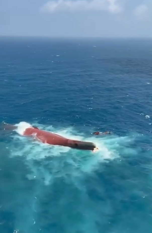 Kapal Virgo terbalik di Laut Jawa, ini rangkuman fakta, kronologi, dan data korban terbaru
