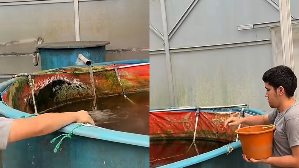 Purbaya mau mancing di rumah, intip 7 potret kolam ikan unggahan sang anak, disebut tinggal serok aja