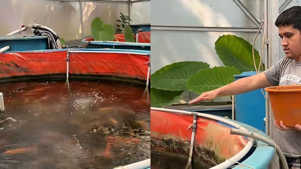 Purbaya mau mancing di rumah, intip 7 potret kolam ikan unggahan sang anak, disebut tinggal serok aja