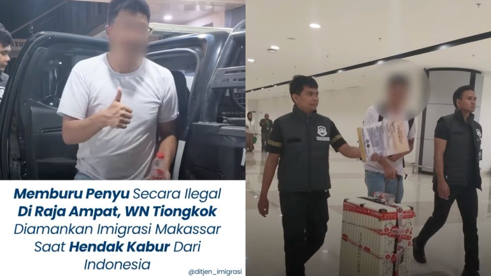 5 Fakta WN China tombak penyu Raja Ampat lalu dimasak, diamankan saat hendak keluar Indonesia