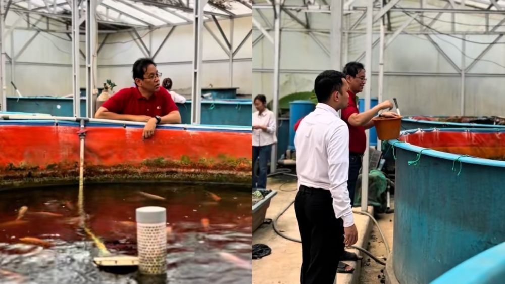 Purbaya “mancing” ikan bukan isapan jempol, ini 5 potret santainya beri makan ternak nila dan mujair
