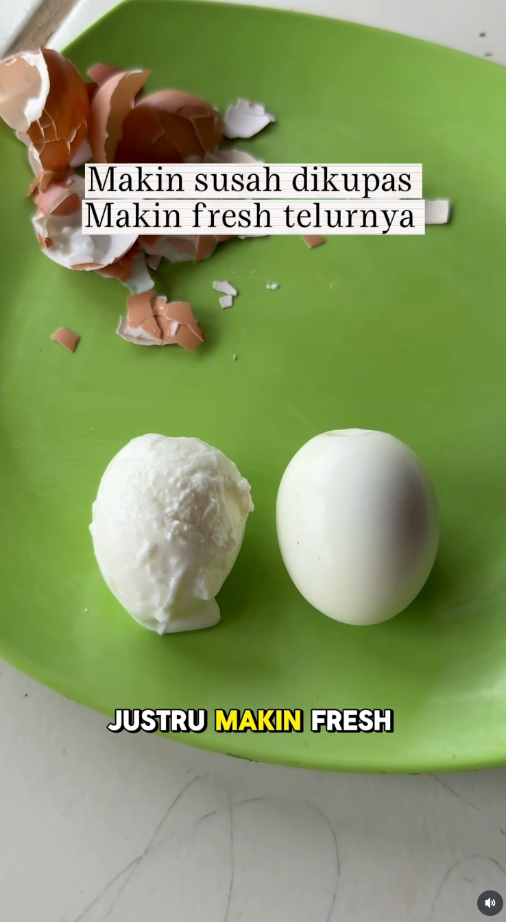 Ngupas telur rebus susah mulus? peternak ayam petelur ini bagikan 2 trik, salah satunya pakai air es