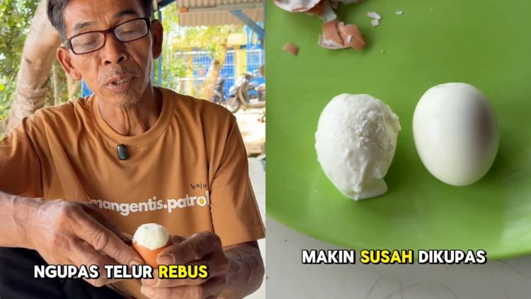 Ngupas telur rebus susah mulus? peternak ayam petelur ini bagikan 2 trik, salah satunya pakai air es