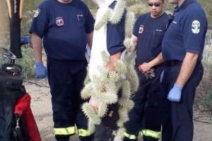 Belum diketahui, apa dan bagaimana tentang 6 foto ini