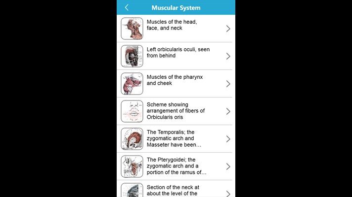 Begini tampilan aplikasi Gray's Anatomy di Windows Phone